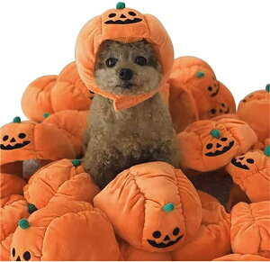 ペット帽子 犬猫用コスプレ ハロウィン かぼちゃ 猫 犬 ハロウィンペット仮装 飾り ペット服コスプレ 変装 かわいい おしゃれ 超軽量 パーティー 記念日 コスプレ 写真撮影 (1個, カボチャ)【