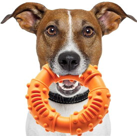楽天市場 犬のおもちゃ ドーナツの通販