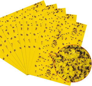 y{zߒV[g V[g gbv V[g hV[g25*20cm 30 S Q΍pi ߂SV[g  ʔS h S O sAp 