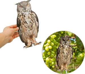 (2)JX悯 bQ΍  ӂ낤 Q ΍ Њd x_ ݂艺   ʎ _앨Q ƒ؉ c 悯 悯 ttNE^悯 tNE1{L