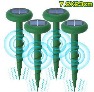 \[[ Oފ  쏜 Oގ ގ O lY~֌ Â Ő ؉ی 4yCOʔ́z