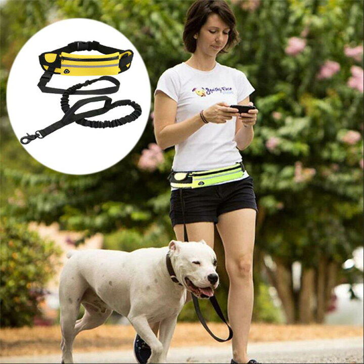楽天市場 犬用リード 両手を離せる 伸縮リード ウエストポーチ ウエストリード ハンズフリー ペットリード 犬 訓練 運動 散歩 ランニング ジョギングに最適 海外通販 Kingstar