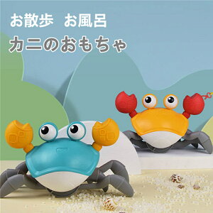 C  ɕ Jj V j U 킢   av[g Jĵ c CŗV V[Q[