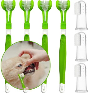 ybguV Lp ybgpwuV 3ʃuV wTbNuV \tg VR ybg f^PA ȉqpuV f^PA ϋv v yCOʔ́z