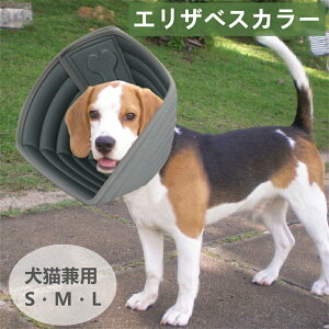 GUxXJ[ p Lp ybgی y _炩 \tg pPA  rߖh~ ݖh~ ~h~ \ K ʋC S M L yCOʔ́z