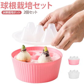 【楽天スーパーSALE】2個セット 水仙 えバスケット ポット 球根 ヒヤシンス 球根栽培セット 三孔設計 花球根用ア鉢 観葉植物鉢対応 チューリップ ヒヤシンス 水耕栽培 鉢植え花 水耕栽培 育成用 ガーデナー アパート 初心者 室内