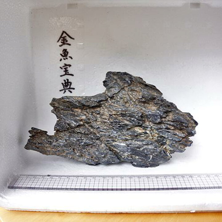 楽天市場 金魚宝典 昇竜石 22cm 天然石です 金魚宝典