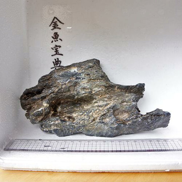 楽天市場 金魚宝典 昇竜石 22cm 天然石です 金魚宝典