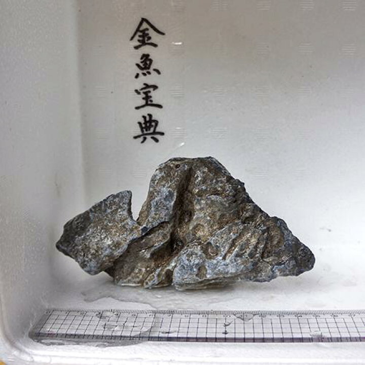 楽天市場 金魚宝典 昇竜石 15cm 天然石です 金魚宝典