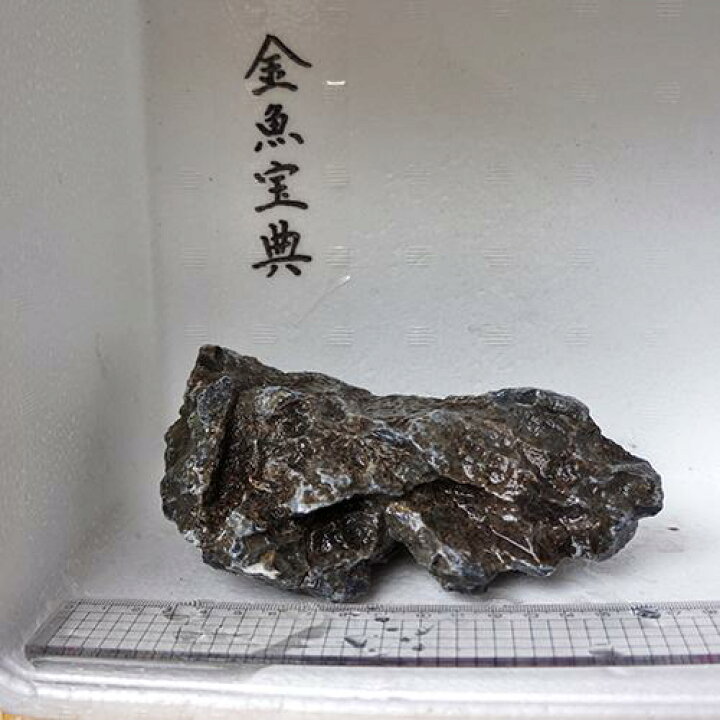 楽天市場 金魚宝典 昇竜石 16cm 天然石です 金魚宝典