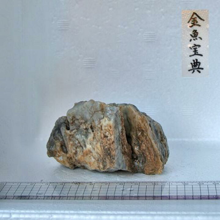 金魚宝典 国産生き餌 イトミミズ 糸目