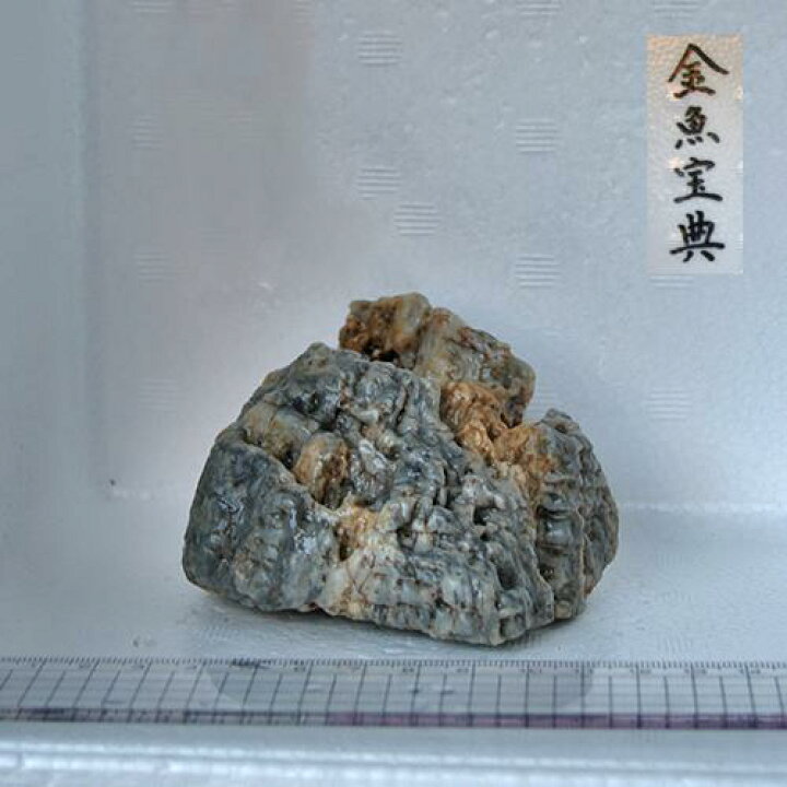 金魚宝典 国産生き餌 イトミミズ 糸目