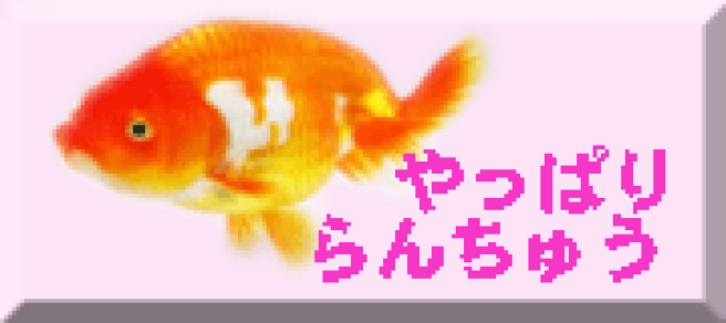 きんぎょ　さん専用出品 楽天市場】水作 水槽セット NEW きんぎょファミリー S お一