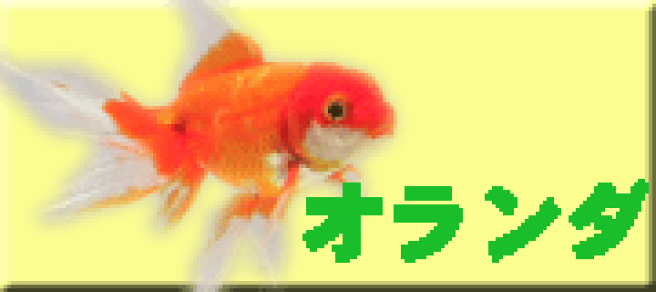 きんぎょページ 2171214_n.jpg