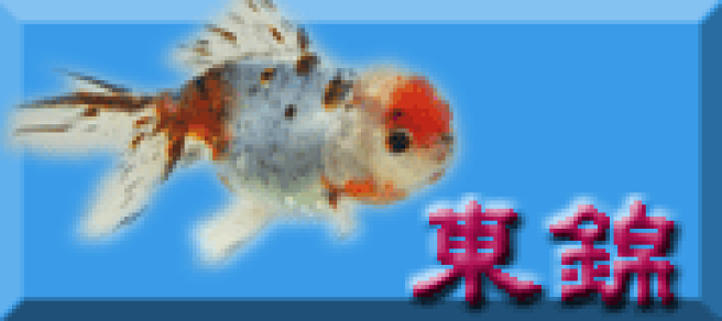きんぎょページ Kyoto National Museum KNM Collection Database