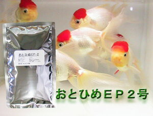 y[֑ΉzƂЂEP-2200Oi@GTj