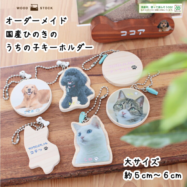 楽天市場】ペットキーホルダー うちの子 キーホルダー 大サイズ 約5 