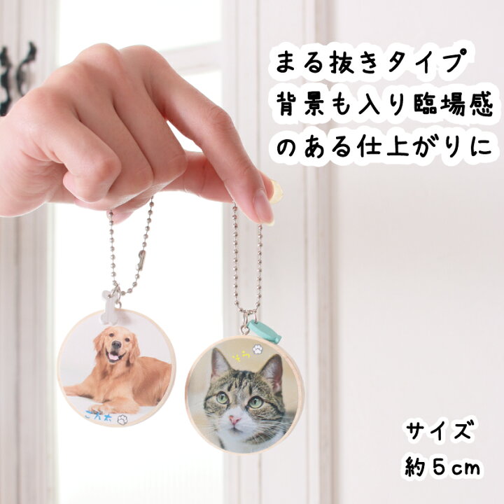 楽天市場】ペットキーホルダー うちの子 キーホルダー 大サイズ 約5 