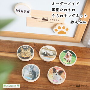 ybg }Olbg ̎q }Olbg  4.5Z`  L ETM  ybg ؐ lIW   ʐ^ŊȒP ʐ^}Olbg |[Y YqmL  I