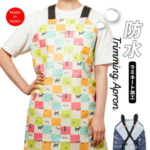 g~OhGv obN^Cv CuteDogs g}[ et e T Gv g~O zCg   u[  bh IW O[   hbO