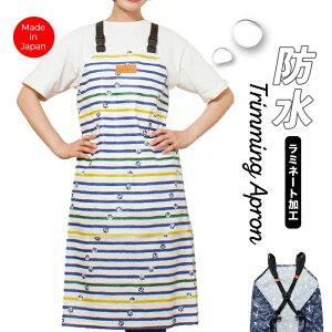 g~OhGv DX fbNX^Cv obN^Cv DX ƃ{[_[ g}[ et e T Gv g~O {[_[   zCg F CG[  lCr[  u