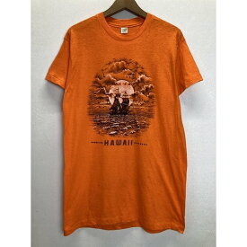 Hanes　Tシャツ　半袖　カットソー　トップス　クルーネック　コットン　プリント　フロントプリント　70’s vintage　HAWAII　USA製　古着