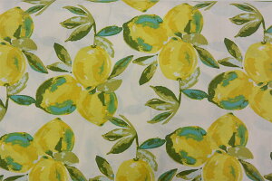 【楽天市場】輸入生地 ART GALLERY FABRICS【SGE-14453 Yuma Lemons Mist -Sage】【50cm単位