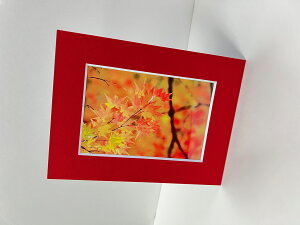 A[gy[p[t[ nKL 148×100 Iׂ鐄F 11F bh