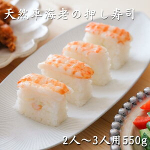 ԊCVi i  2`3lO 550g  Mtg v[g lC CV Gr  VR TTjVL ① i _i