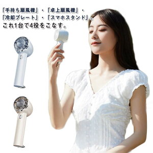 冷却プレート付き ハンディファン ハンディーファン ハンディクーラー 小型扇風機 ミニファン 扇風機 小型 ミニ ファン 冷却 強風 充電式 卓上扇風機 ハンディ扇風機 手持ち扇風機 ミニ扇風