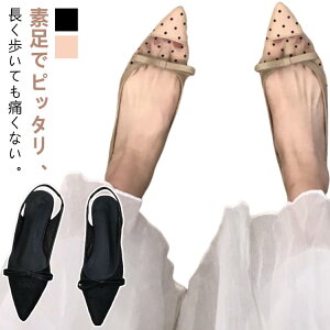 �h�b�g�� �V�[�X���[�p���v�X �T���_�� �ɂ��Ȃ� �I�t�B�X �ܐ悠�� �|�C���e�b�h�g�D �Ƃ񂪂� ����� �ʋ� �t�� �傫�T�C�Y ���ʕ� ������ �V�[�X���[ ������ �Q�� ������ ���Ǝ� �񎟉�