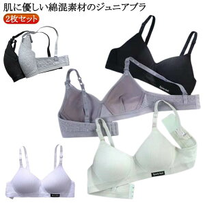 n mC[u WjAu quW[ uW[ w  LbYu w q ȍ 2Zbg  2Zbg fB[X K[Y Ci[ wZ XN[ 