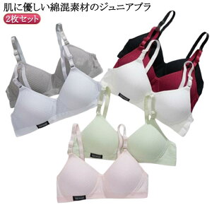 n mC[u WjAu quW[ uW[ w  LbYu w q ȍ 2Zbg  2Zbg fB[X K[Y Ci[ wZ XN[ 