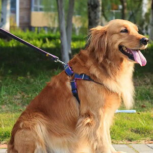 fj Iׂv[gI S n[lX  ^ x EȂ ^  ^ ɂ  Iׂv[gI  v S M L