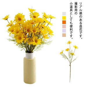 �f�C�W�[ 1���� �f�[�W�[ �n���h���C�h �ԍ� �� �L�N �l�H���� 1���� �t�����[ �K�[�x���f�C�W�[ �Ԍ|�f�� ������ �z�[������ ���ԍ�� �C���e���A �a���� �]�� �v���[���g �k���� �p�[