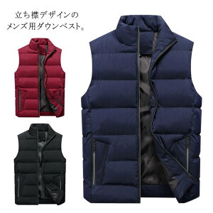 ~ Y H  AEghA ȃxXg  _ExXg 傫TCY 3F×10TCY 㒅