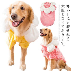 hbOEFA ^ AE^[ ybg  ߑ j̎q ^ RXv RX`[ ~  ybgObY L { WPbg pi H R[g wJ {^ ̎q  