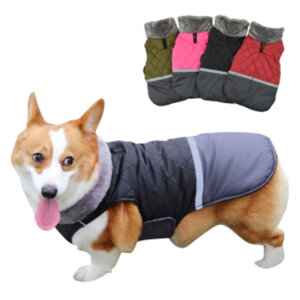 іh~ t@[lbN ȃxXg ybg  ۉQ    J[؂ւ ^ ʒ ^ ^ h