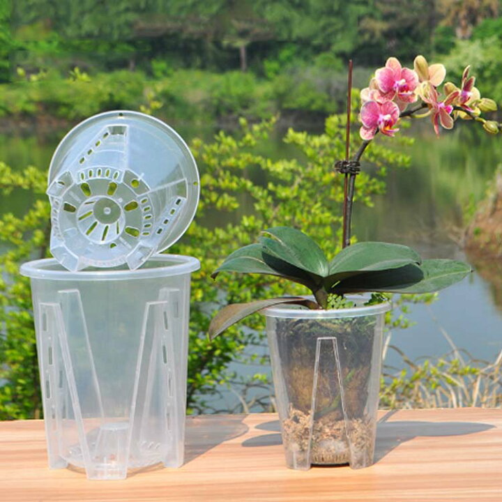 楽天市場】穴付き 穴付き 洋蘭鉢 プラスチック 植木鉢 プランター 10鉢 