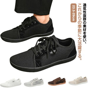 C Y JWAV[Y Xj[J[ Xj[J[ EH[LOV[Y y  Ȃ X|[c ^ amC ₷ ~ JWA  Vv n 傫