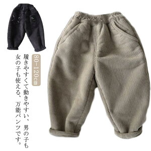 Y{ LbY R[fC pc N n ؍q i` ؍ q j̎q H~  ʉ ʊw VFtpc oM[pc LbYt@bV ؍ ̎q {g