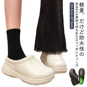 Xj[J[ t T_ S~̂ y y AEghA  Xbp h fB[X Xb| C J Lv  T_ x_ T_ 􂦂 y  킢