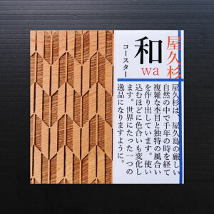 v aR[X^[ R ċʗZHv R[X^[ a ؐ VR