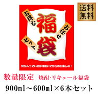 激安！1本あたり税込750円！在庫処分訳アリ 大特価 福袋セット 900ml～600ml×6本セット！※北海道・東北…