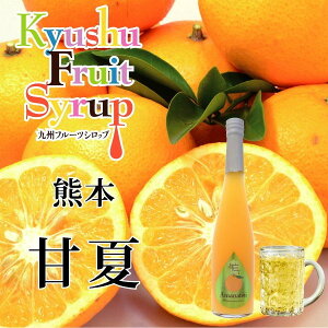 c_ ÉĂ݂Vbv 500ml