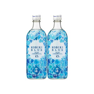 ؔBLUE 17x 500ml×2{ Ē _C𑢁kCEkGA͕ʓr^1000~܂B