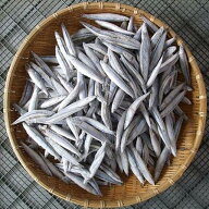 きびなご 冷凍 -25℃ 約2kg　　甑島産産地直送f　日笠山水産　代引不可　同梱不可※北海道・東北地区は、…