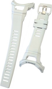 JVI [CASIO] GBA-950pohixgj