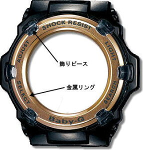 JVI [CASIO] BGR-3000Jpx[C