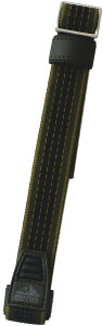 JVI [CASIO] vgbNp{ʂohixgj